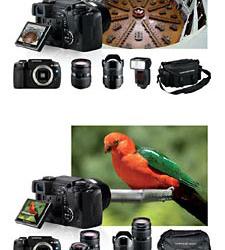 Успех камеры Olympus E-330 - на шести «китах»