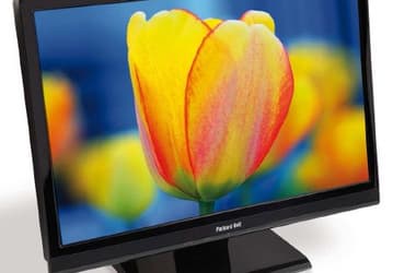 Packard Bell пополняет линейку мониторов Viseo бюджетными моделями 193 Ws и 223 Ws