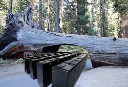 IBM Sequoia — в 20 раз быстрее самого быстрого в мире суперкомпьютера 