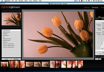 Adobe Lightroom станет альтернативой Aperture