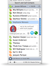 Новая бета Skype получила поддержку Leopard