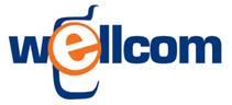 Сибирьтелеком запускает сеть сотовой связи IMT-MC-450 в Томске под маркой Wellcom