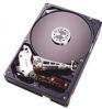 Seagate начинает поставки 500 Гб жестких дисков серии NL35