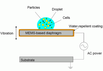 Toshiba Develops MEMS Based Technology For Injecting Nanoparticles In Cells
