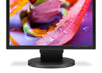 NEC MultiSync EA — лягушачьи 19 и 24 дюйма 
