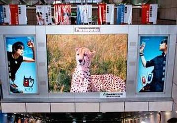 Panasonic создала 236-дюймовый дисплей