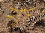 Kult: Heretic Kingdoms на золоте
