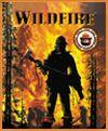 Демо-версия стратегии Wildfire