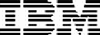 Первая виртуальная конференция компании IBM, посвященная онлайн-играм