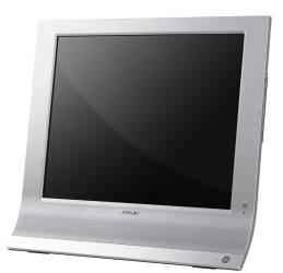 Multifunction monitors the next display trend?