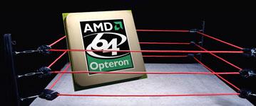 AMD вызывает Intel на честный поединок