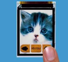 TMDisplay представляет LTPS TFT LCD дисплей с поддержкой двух видеоразрешений