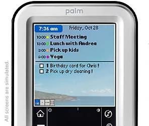Palm Announces Palm Z22 Organizer At The Price Of $99