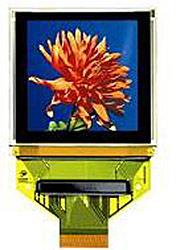 OSD представляет полноцветный OLED-дисплей