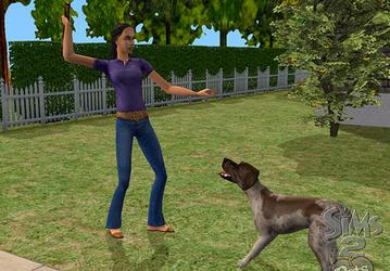 Aspyr представила The Sims 2 Pets