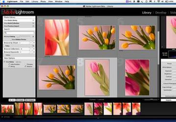 Lightroom Beta 2 стала Universal-приложением