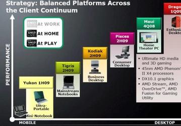 Массовое обновление планов AMD: Yukon, Tigris, Kodiak и другие