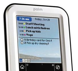 Цветной Palm за 99 долларов