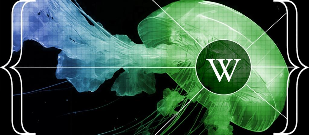 Изображение: Wikimedia Foundation