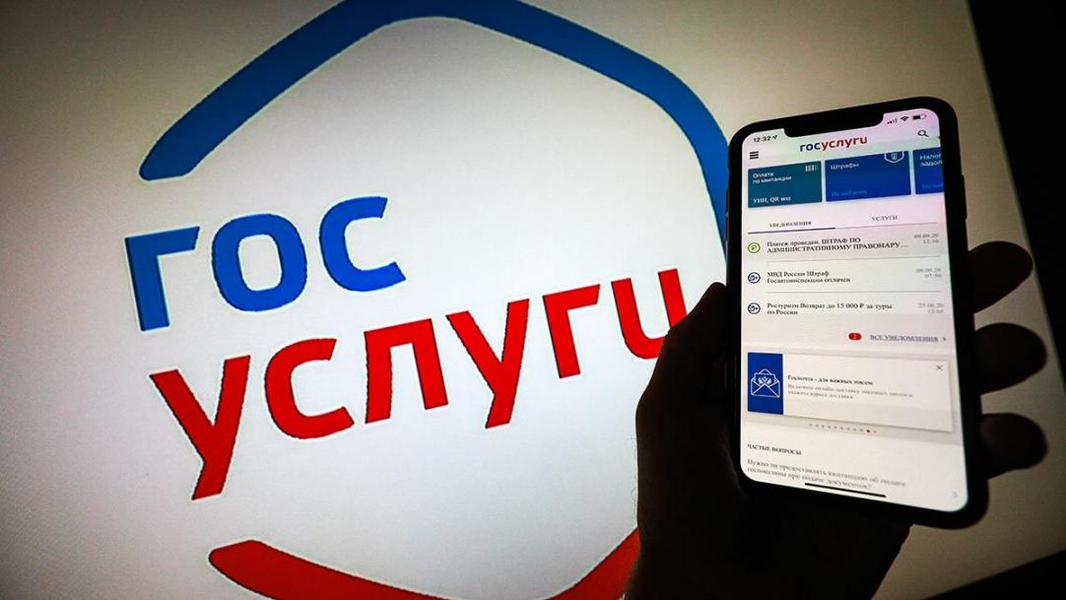 «Госуслуги» начали пополняться в самые короткие сроки, по «принципу лего», фото 1