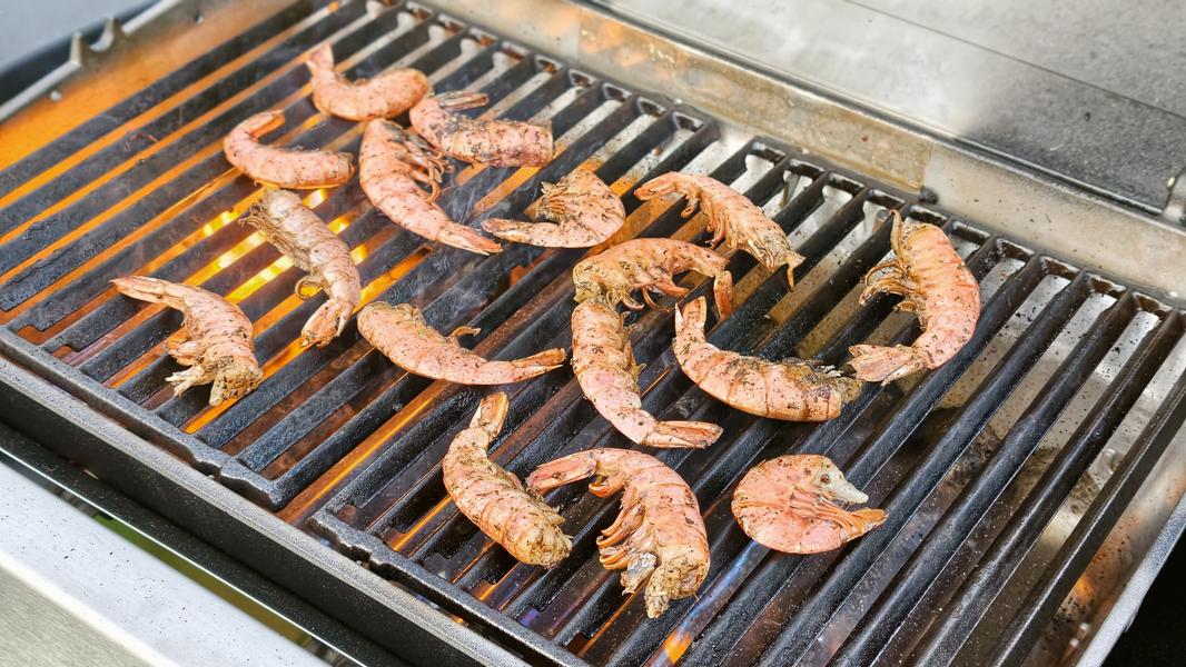 Газовый гриль Broil King Porta-Chef 320:, фото 44