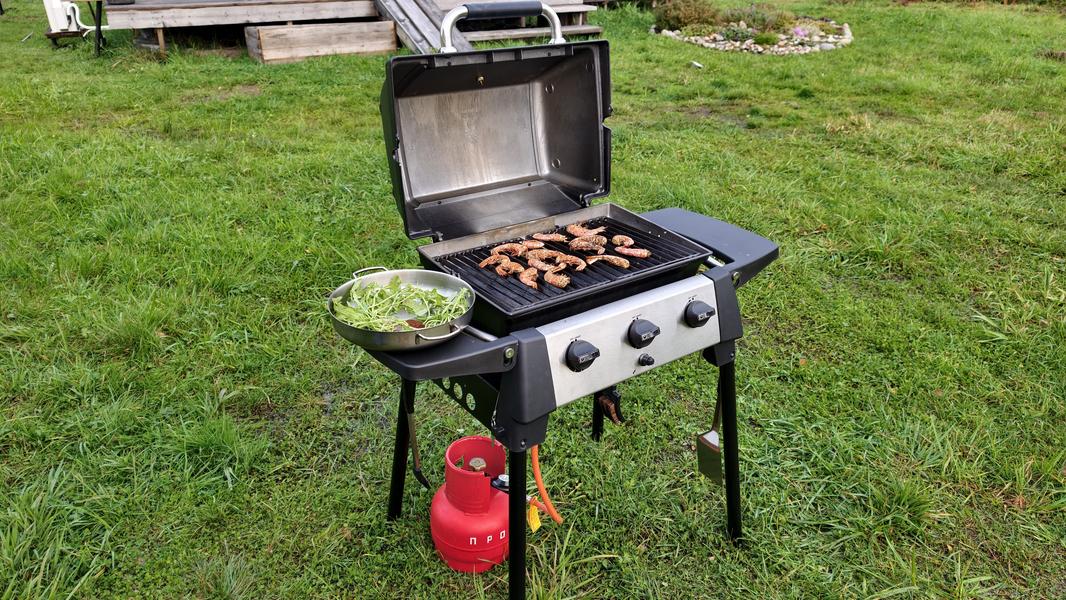 Газовый гриль Broil King Porta-Chef 320:, фото 46