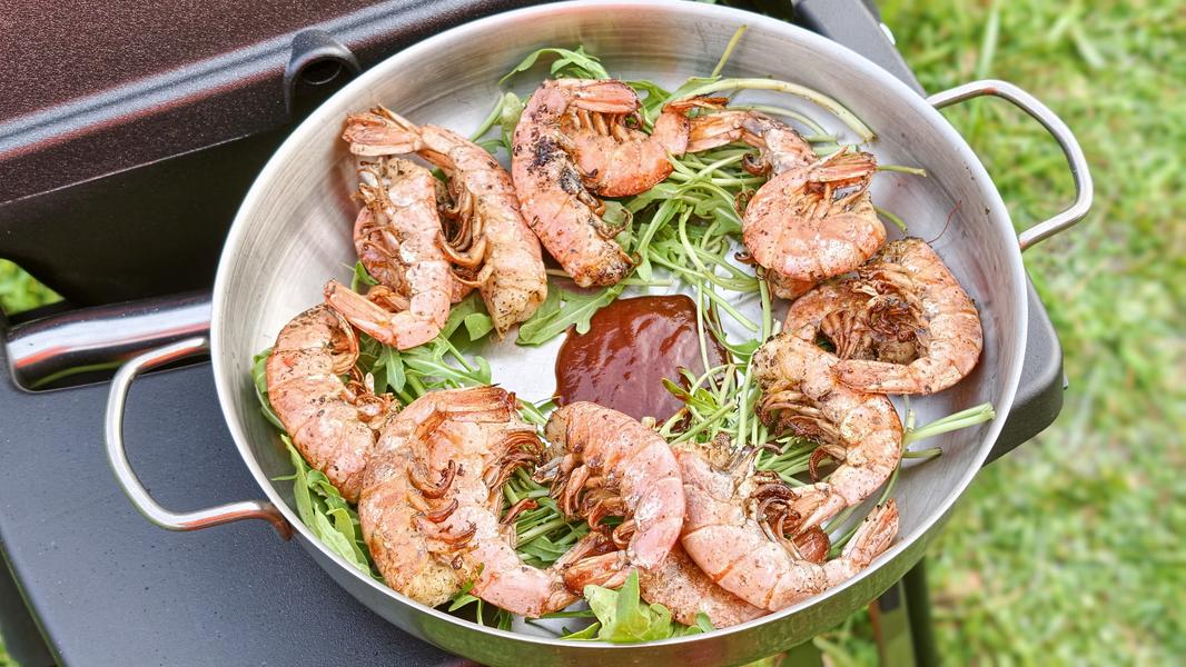 Газовый гриль Broil King Porta-Chef 320:, фото 47