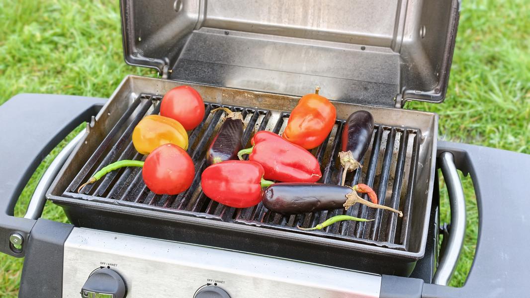 Газовый гриль Broil King Porta-Chef 320:, фото 40