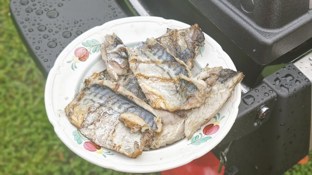 Газовый гриль Broil King Porta-Chef 320:, фото 54