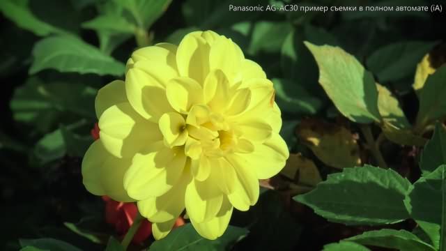 Профессиональный камкордер Panasonic AG-AC30, фото 7