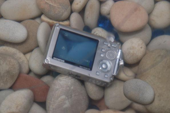 «Фотофорум-2007», фото 7