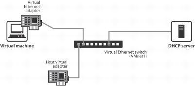 Host-Only Networking