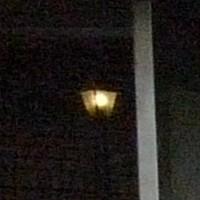 Lumix DMC-G1, ISO1600