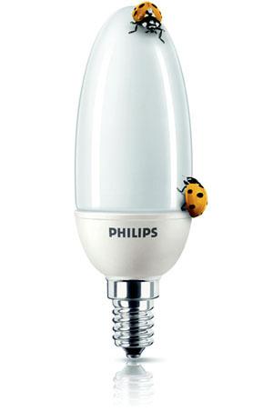 Юбилейная презентация Philips, фото 9
