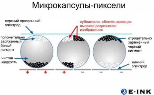 Презентация PocketBook, фото 2