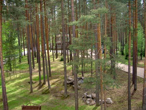 Второй Региональный Дилерский Форум, фото 2