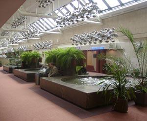 Фоторепортаж с CiscoExpo'2002, фото 21