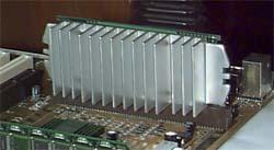 Celeron