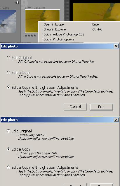 Adobe Lightroom public beta 3