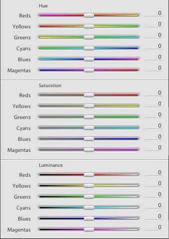 Adobe Lightroom