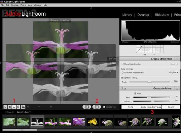Adobe Lightroom
