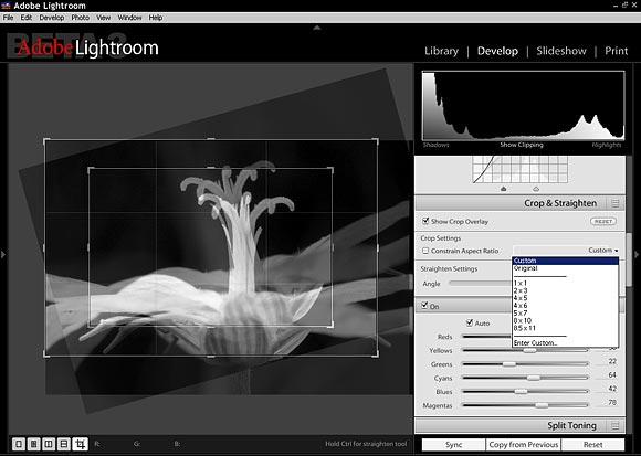 Adobe Lightroom