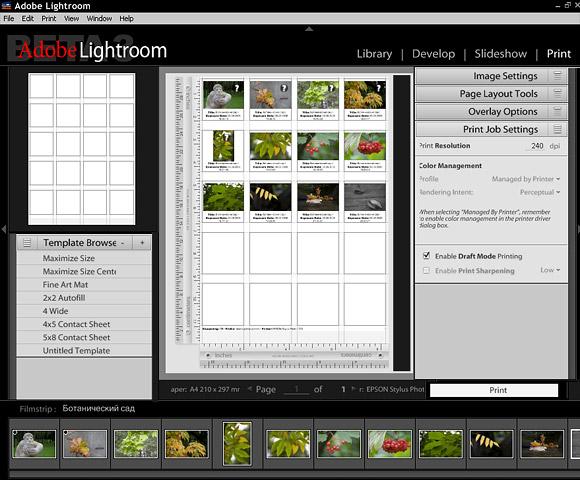 Adobe Lightroom public beta 3