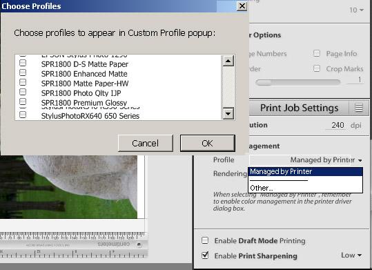 Adobe Lightroom public beta 3