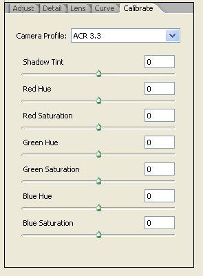 Adobe Camera RAW