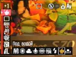 Меню, баланс белого под водой