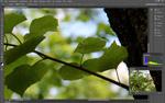 Цифровая фотокамера Canon EOS 1200D с кит-объективом Canon EF-S 18-55mm f/3.5-5.6 IS II:, фото 79