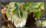Полнокадровая зеркальная фотокамера Canon EOS 6D, фото 90