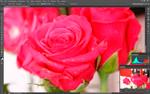 Полнокадровая зеркальная фотокамера Canon EOS 6D, фото 117