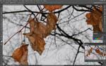 Зеркальная фотокамера Canon EOS 7D Mark II, флагман зеркалок APS-C:, фото 96